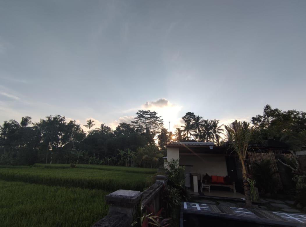 Anggarakasih Ubud Villa מראה חיצוני תמונה