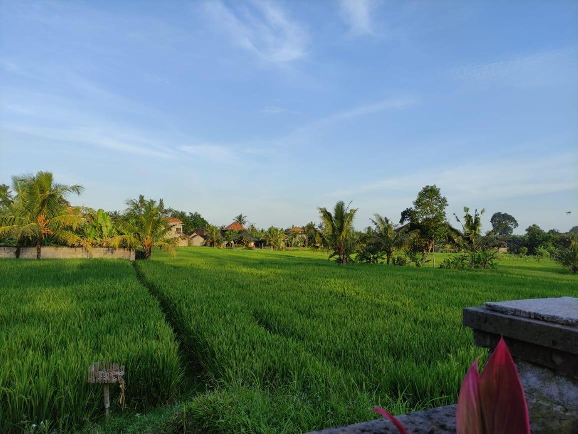 Anggarakasih Ubud Villa מראה חיצוני תמונה